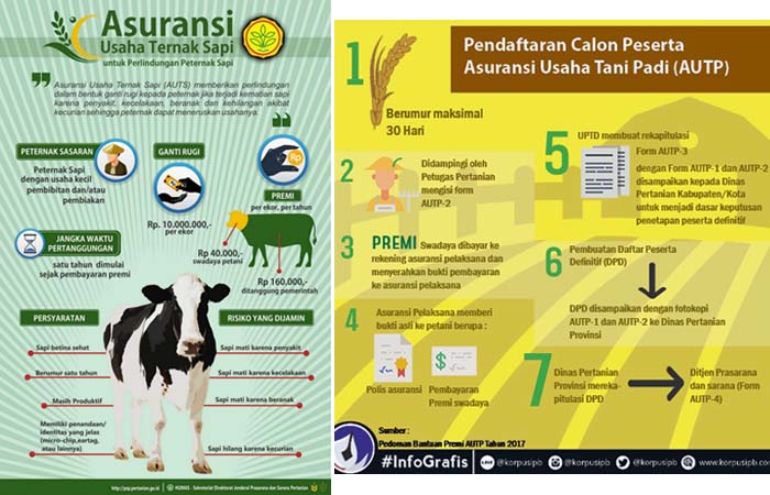 Aplikasi Online SIAP Picu Minat Petani pada Program Asuransi Pertanian